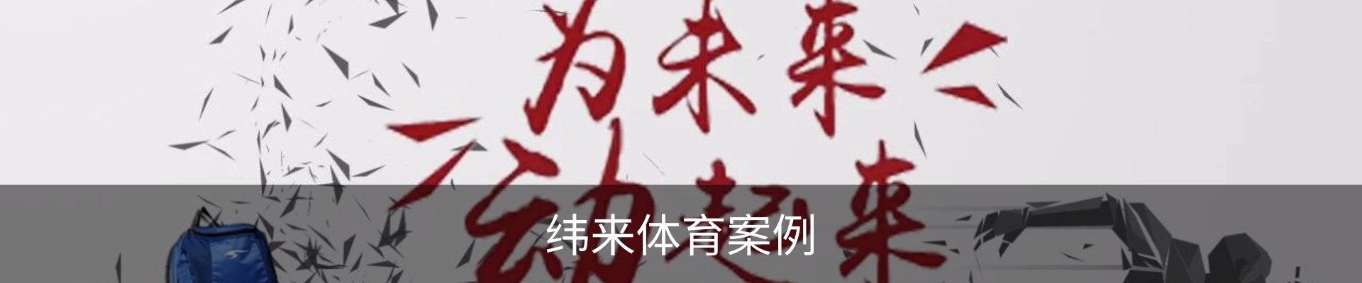 纬来体育案例